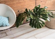 Timberwise - Beach House White